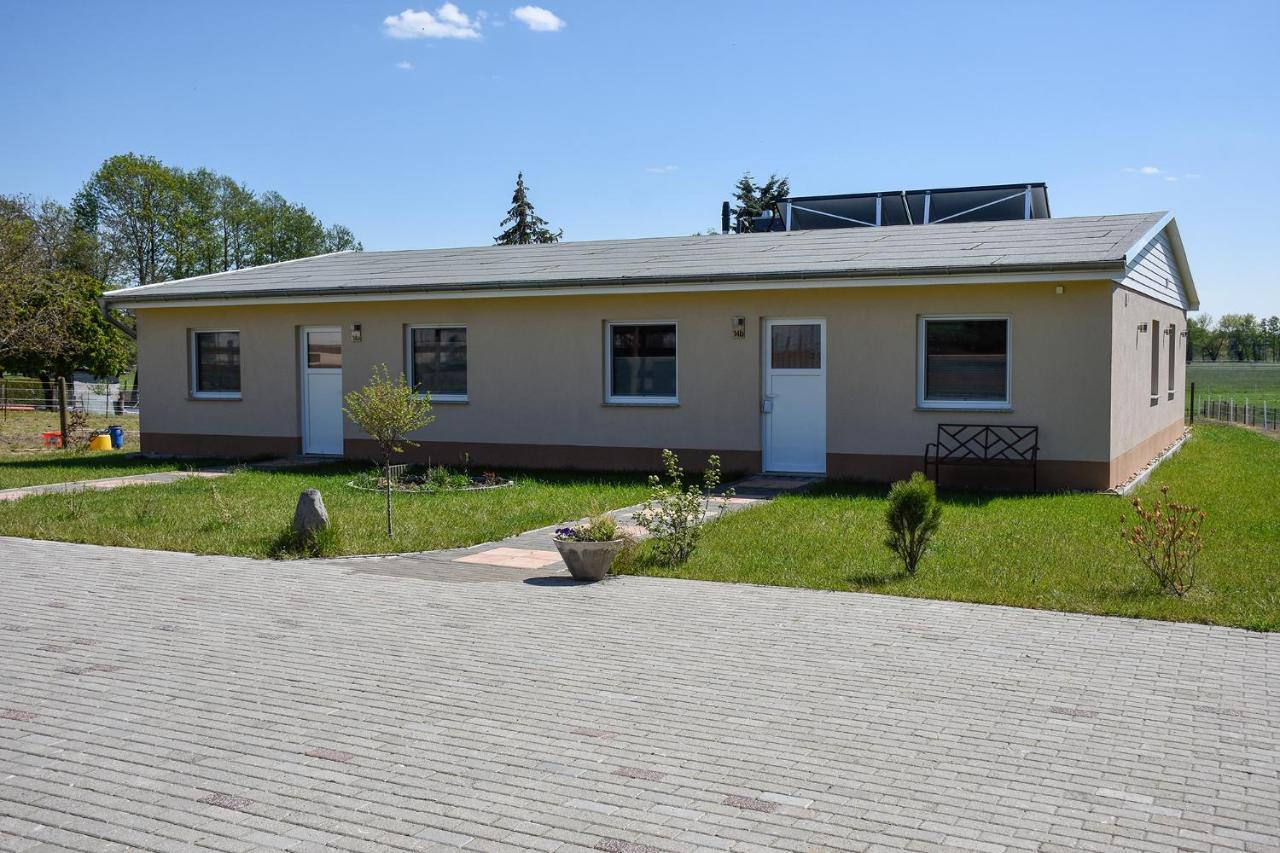 Barrierefreie Ferienwohnung Trueben Bornum ภายนอก รูปภาพ